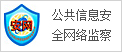 公共信息安全网络监察